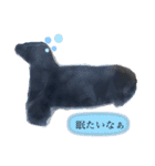 海の仲間(煽り気味)（個別スタンプ：5）