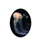 海の仲間(煽り気味)（個別スタンプ：6）