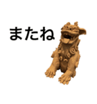 ぶさいくシーサー（個別スタンプ：5）