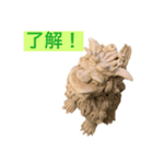 ぶさいくシーサー（個別スタンプ：7）