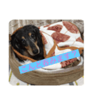 Dax only（個別スタンプ：3）