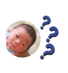 shoh！！（個別スタンプ：4）