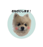 ぽてライフ（個別スタンプ：3）