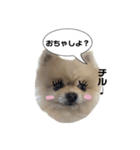 ぽてライフ（個別スタンプ：16）