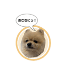 ぽてライフ（個別スタンプ：18）