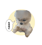 ぽてライフ（個別スタンプ：20）