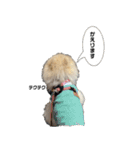 ぽてライフ（個別スタンプ：23）