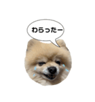 ぽてライフ（個別スタンプ：27）