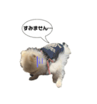 ぽてライフ（個別スタンプ：30）