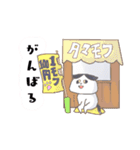 ハチワレスコ猫のタマスタンプ～日常編～（個別スタンプ：2）