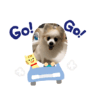 らぶちゃんスタンプ①（個別スタンプ：2）