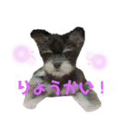 ぷっちゃんすたんぷ（個別スタンプ：7）