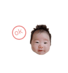 りのちゃんのスタンプ！（個別スタンプ：8）
