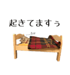 可愛い愛しのぬこ様（個別スタンプ：9）