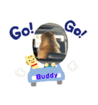 ゴールデンレトリバーBuddy（個別スタンプ：5）