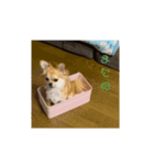 天心スタンプ2（個別スタンプ：7）