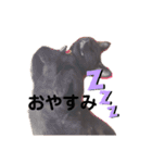 ぴーちゃんとじじちゃん（個別スタンプ：12）