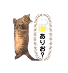 ぴーちゃんとじじちゃん（個別スタンプ：16）