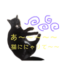 黒猫ここちゃんの叫び（個別スタンプ：13）