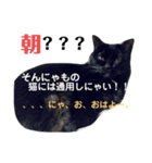 黒猫ここちゃんの叫び（個別スタンプ：14）