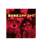 2人はコナーファ（個別スタンプ：2）