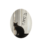 キジトラらむさんの日常（個別スタンプ：14）