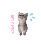 よもぎさま（個別スタンプ：8）