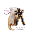 maro.すたんぷ（個別スタンプ：1）