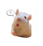 maro.すたんぷ（個別スタンプ：3）