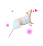 maro.すたんぷ（個別スタンプ：4）