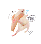 maro.すたんぷ（個別スタンプ：5）