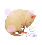 maro.すたんぷ（個別スタンプ：6）