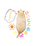 maro.すたんぷ（個別スタンプ：11）
