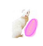 maro.すたんぷ（個別スタンプ：13）