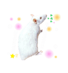 maro.すたんぷ（個別スタンプ：16）