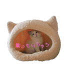 もふもふシュンちゃん①（個別スタンプ：10）