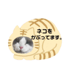 もふもふシュンちゃん①（個別スタンプ：16）