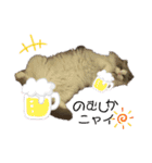 もふもふシュンちゃん①（個別スタンプ：21）