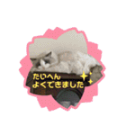 もふもふシュンちゃん①（個別スタンプ：26）
