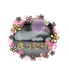 もふもふシュンちゃん①（個別スタンプ：40）