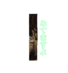 ほだ3（個別スタンプ：3）