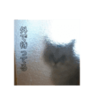 ほだ3（個別スタンプ：5）