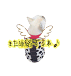 うちのきなこ！！（個別スタンプ：15）