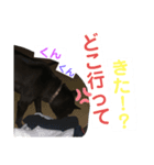ベンちゃんスタンプ2020（個別スタンプ：6）