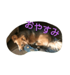 まめ's LIFE（個別スタンプ：7）
