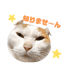 ゆかいなかりんくん！（個別スタンプ：3）