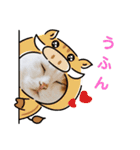 ゆかいなかりんくん！（個別スタンプ：14）