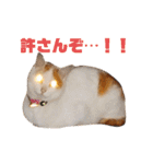 ゆかいなかりんくん！（個別スタンプ：20）