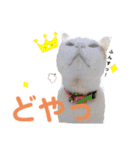 ゆかいなかりんくん！（個別スタンプ：27）