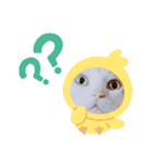 ゆかいなかりんくん！（個別スタンプ：28）